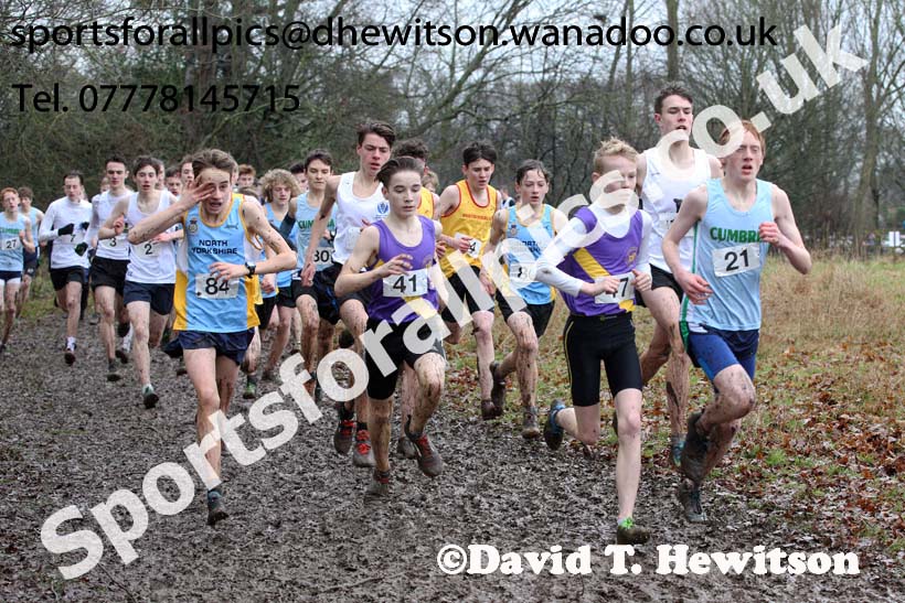Intermediate boys Northern Inter Counties Schools Cross Country, Stockton. Photo: David T. Hewitson/Sports for All Pics